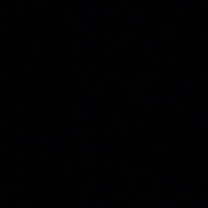 Meet your Posher, Bella